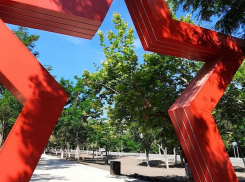 В Новороссийске высадят кедровую аллею и освятят аллею Победы