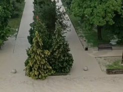 Абрау-Дюрсо подтоплен и без света, что ждет Новороссийск