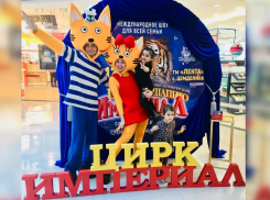 Новороссийцы покатаются на верблюде и полетают под куполом