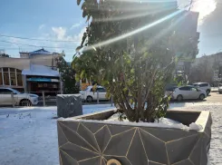 Докатились: как теперь ходит общественный транспорт в Новороссийске