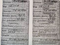 Останки солдата из Новороссийска нашли под Москвой