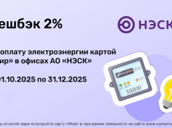 Оплата электроэнергии в АО «НЭСК» по карте «Мир» с выгодой