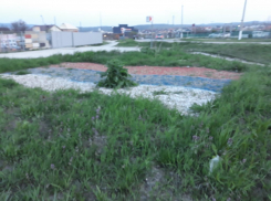 Пожалуй, самая оригинальная клумба находится в станице Раевской под Новороссийском