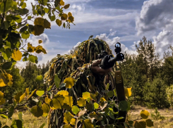 Военнослужащим увеличили выплату до 1,5 миллиона на Кубани 