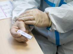 Есть ли новые зараженные в Новороссийске: актуальная сводка оперштаба 