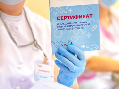 Новороссийцы смогут получить 100 000 рублей за прививку до конца года 