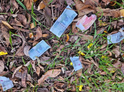 Депутаты утвердили бюджет Новороссийска на 2026 год