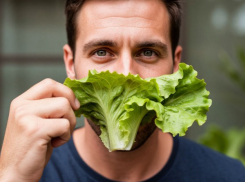 Переходим на зелень, безработицы нет! Как экономический подъем Новороссийска «нагружает» дороги