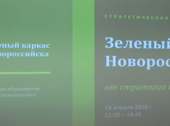 «Зеленый каркас»: разработка плана по озеленению Новороссийска на 64 млн рублей началась