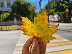 Погода в Новороссийске 2 сентября: продолжаем наслаждаться теплом 