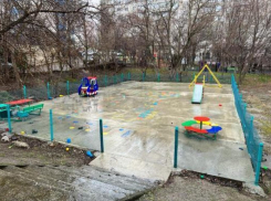 Одна площадка, разные отчёты: что родители из Новороссийска хотят от губернатора