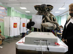 Дейви Джонс, Зебра Марти  и Петр I: кого еще можно было встретить на избирательных участках страны