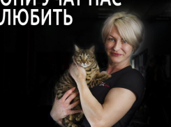 Бэтмену отрезало поездом лапу, а породистого кота выкинули умирать в подъезд – истории из жизни животных Новороссийска