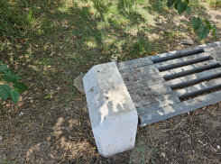 «Хоть где-то у нас есть порядок?» - жительница Новороссийска возмутилась состоянию лавочек 