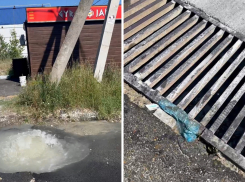 Фонтаны по-новороссийски: вода бьёт из земли третий день 