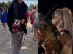 В Сочи, Геленджике и Анапе жалуются на хамство «фотоживодеров»
