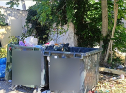 «Убирают со скандалом или никогда»: новороссийцы жалуются на ужасное состояние мусорных площадок
