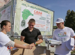 Стало известно, когда в Новороссийске пройдет акция «Сдай макулатуру - спаси дерево!»