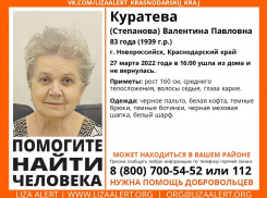 Пропавшую 83-летнюю женщину ищут в Новороссийске 