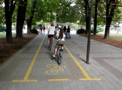 Велодорожки в Новороссийске теряют свой смысл 