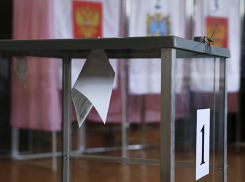 Стало известно, как будут работать школы Новороссийска во время выборов 