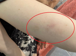 Учителя, которые ставят синяки: подробности скандала в гимназии Новороссийска 