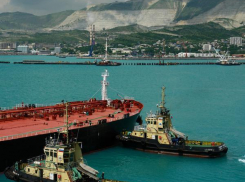 Новороссийский морской бизнес признан нерентабельным