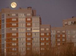Погода в Новороссийске: тепло, солнечно и тихо в последний день зимы
