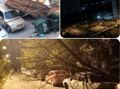 Упавшие деревья и покореженные автомобили. Новороссийцы обсуждают последствия ночного ветра