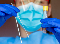 Почти 2 000 зараженных: о ковиде на Кубани и в Новороссийске