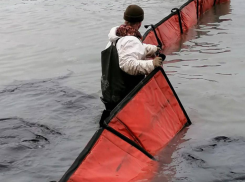 Собирать мазут надо вручную: ученые предложили в Анапе применить «испанский» опыт
