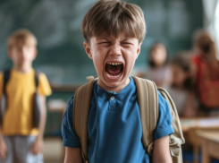 Минпросвещения предложило заблокировать сайты с решебниками 