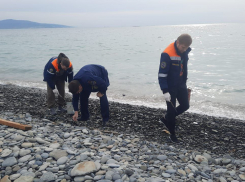 Спасатели чистят пляж Новороссийска от нефтепродуктов - откуда взялись следы мазута