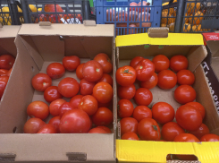 Золотая луковица: овощи в Новороссийске выросли в цене 