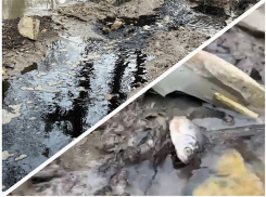 Росприроднадзор: Фильтрат угрожает экосистеме Новороссийска, реки продолжают чернеть 