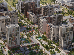 Сколько школ нужно Новороссийску? 