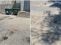 Мусоровозы «ЭкоЮга» оставляют за собой фекалии и битые стекла в Новороссийске 