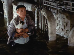 «Хочешь — пей, хочешь — стирай»: новороссийцам пообещали отремонтировать водопровод