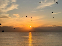 Гороскоп от «Блокнота»: Ракам быть осторожнее в общении, а Львы решат любой вопрос 