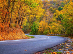 В воскресенье новороссийцы смогут вдоволь нагуляться 