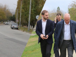 Страхи новороссийцев подтвердились: ради расширения дороги вырубят деревья 