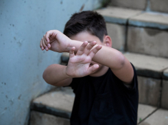 Соцсети:  маршрутчик избил детей в Новороссийске 