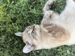  Синоптики пообещали теплую погоду в Новороссийске