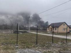 Росприроднадзор оштрафовал птицефабрику Новороссийска за загрязнение среды