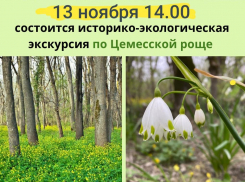Любой новороссиец сможет вместе со своими детьми прийти на бесплатную экскурсию в эти выходные