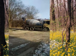 Бетономешалки сливают всю грязь в Цемесскую рощу Новороссийска