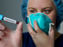 Ни одного заболевшего: как обстоят дела с ковидом в Новороссийске 