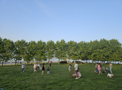 Июнь порадует выходными: новороссийцы будут отдыхать четыре дня подряд 