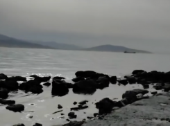 Мазут, трупы птиц и мусор на “лице Новороссийска” обнаружили местные жители