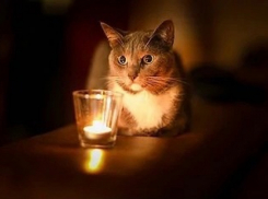 Ограничения с утра: в Новороссийске пройдут учения ВМБ и плановые отключения